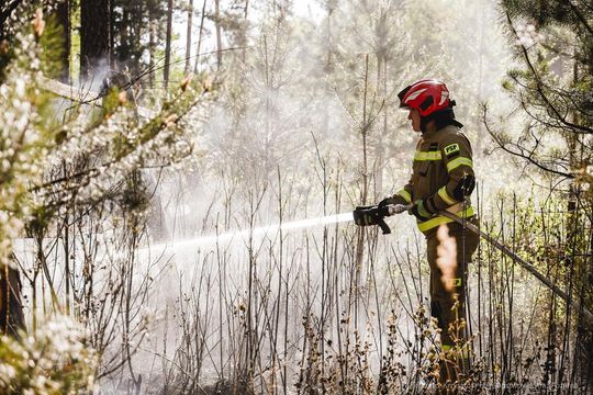 Pożar lasu w powiecie biłgorajskim - galeria zdjęć 