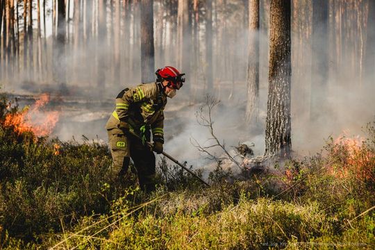 Pożar lasu w powiecie biłgorajskim - galeria zdjęć 
