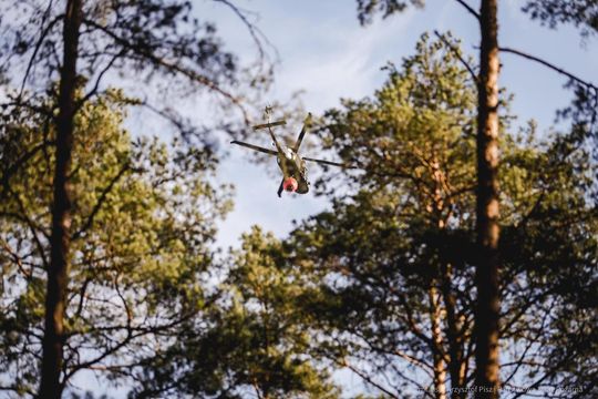 Pożar lasu w powiecie biłgorajskim - galeria zdjęć 
