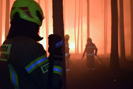 Wielki pożar lasu na pograniczu gmin Józefów i Łukowa [ZDJĘCIA]