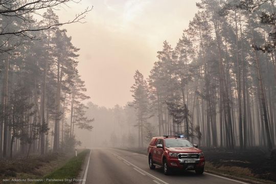 Wielki pożar lasu na pograniczu gmin Józefów i Łukowa [ZDJĘCIA]