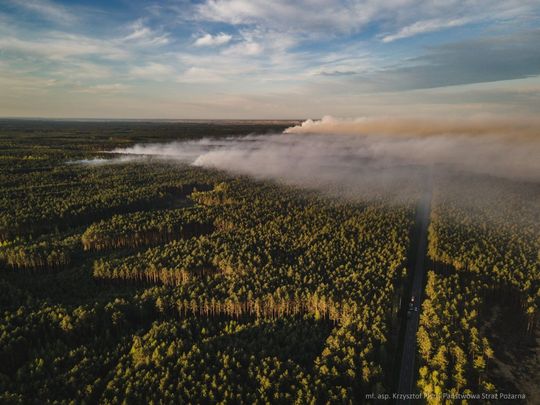 Wielki pożar lasu na pograniczu gmin Józefów i Łukowa [ZDJĘCIA]