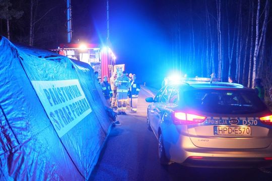 Wielki pożar lasu na pograniczu gmin Józefów i Łukowa [ZDJĘCIA]