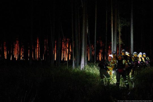 Minęła kolejna noc heroicznej walki o Puszczę Solską [ZDJĘCIA]