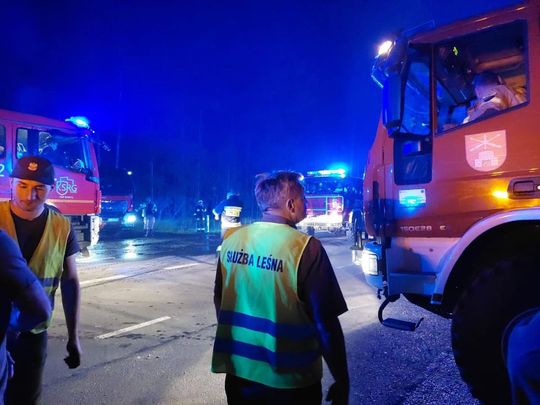 Minęła kolejna noc heroicznej walki o Puszczę Solską [ZDJĘCIA]