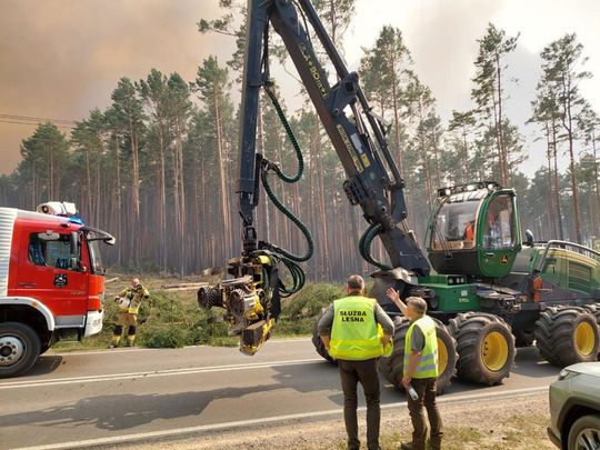 Minęła kolejna noc heroicznej walki o Puszczę Solską [ZDJĘCIA]