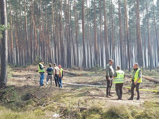 Minęła kolejna noc heroicznej walki o Puszczę Solską [ZDJĘCIA]