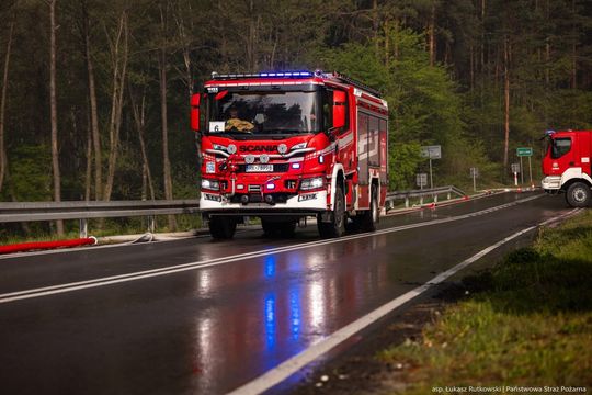 Minęła kolejna noc heroicznej walki o Puszczę Solską [ZDJĘCIA]