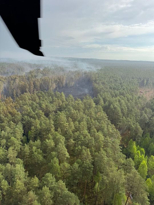 Minęła kolejna noc heroicznej walki o Puszczę Solską [ZDJĘCIA]