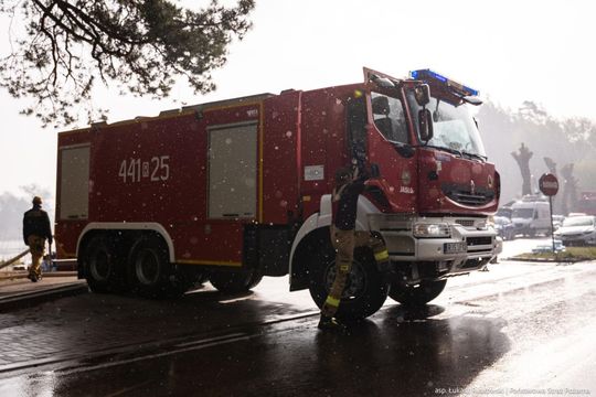 Minęła kolejna noc heroicznej walki o Puszczę Solską [ZDJĘCIA]