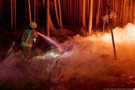 Minęła kolejna noc heroicznej walki o Puszczę Solską [ZDJĘCIA]
