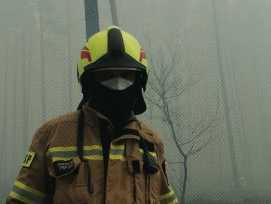 Oto nasi bohaterzy. Kobiety i mężczyźni z OSP, którzy ratowali Puszczę Solską [ZDJĘCIA]