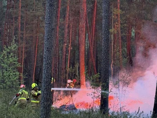 Oto nasi bohaterzy. Kobiety i mężczyźni z OSP, którzy ratowali Puszczę Solską [ZDJĘCIA]