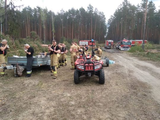 Oto nasi bohaterzy. Kobiety i mężczyźni z OSP, którzy ratowali Puszczę Solską [ZDJĘCIA]