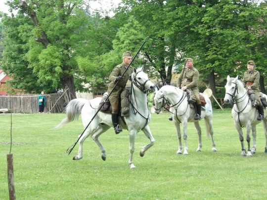 Tomaszów Lubelski: Piknik militarno-historyczny [ZDJĘCIA]
