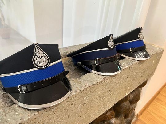 Zjazd Oddziału Gminnego Związku OSP RP w Werbkowicach - galeria zdjęć