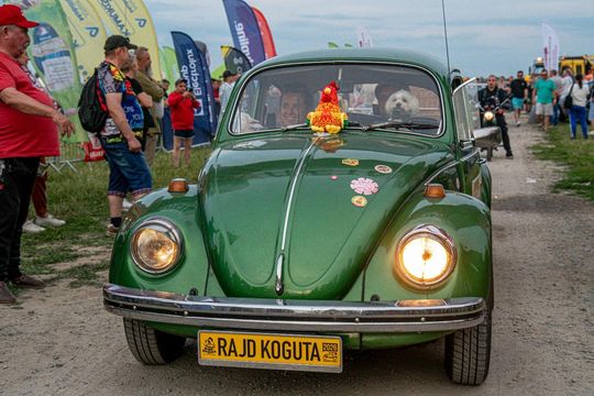 Rajd Koguta w Zamościu - galeria zdjęć