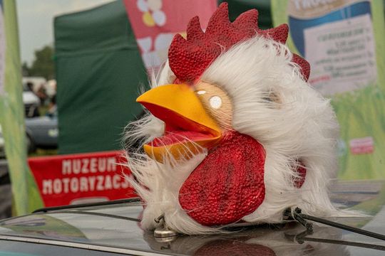 Zamość: Finał Rajdu Koguta na lotnisku w Mokrem - galeria zdjęć