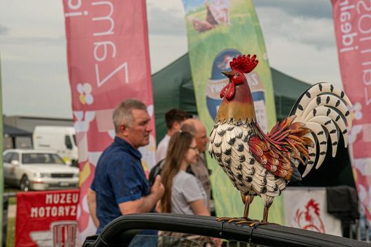 Zamość: Finał Rajdu Koguta na lotnisku w Mokrem - galeria zdjęć