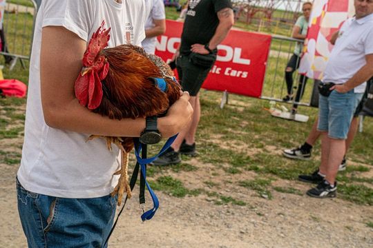 Zamość: Finał Rajdu Koguta na lotnisku w Mokrem - galeria zdjęć