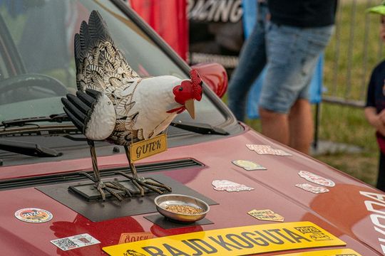 Zamość: Finał Rajdu Koguta na lotnisku w Mokrem - galeria zdjęć