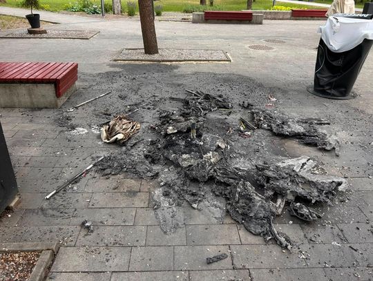 Nocny pożar w parku w Tomaszowie. Spłonęło wyposażenie lodziarni [ZDJĘCIA]