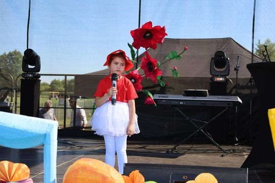 Dni Łaszczowa. To był weekend świetnej zabawy [ZDJĘCIA]