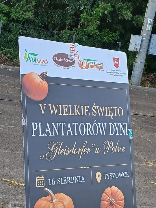 V Wielkie Święto Plantatorów Dyni „Gleisdorfer” w Tyszowcach