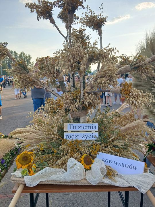 V Wielkie Święto Plantatorów Dyni „Gleisdorfer” w Tyszowcach