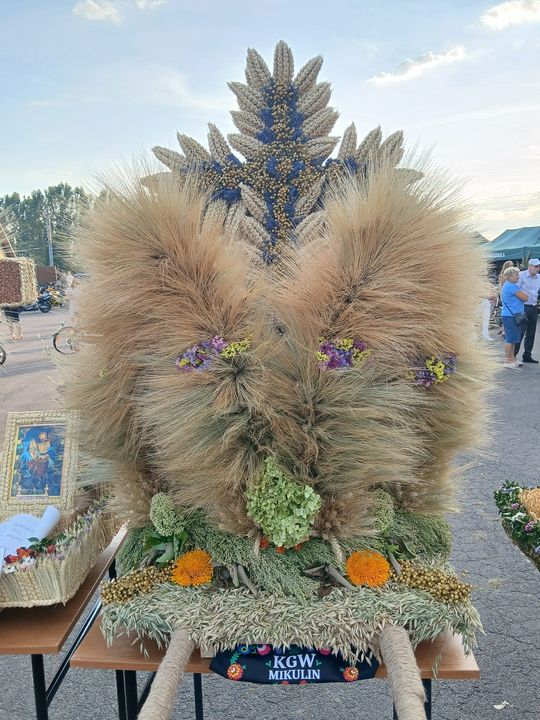 V Wielkie Święto Plantatorów Dyni „Gleisdorfer” w Tyszowcach