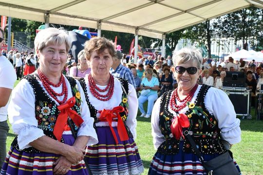 Dożynki powiatu zamojskiego w Szczebrzeszynie [ZDJĘCIA]