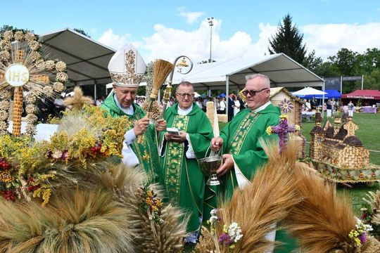 Dożynki powiatu zamojskiego w Szczebrzeszynie [ZDJĘCIA]