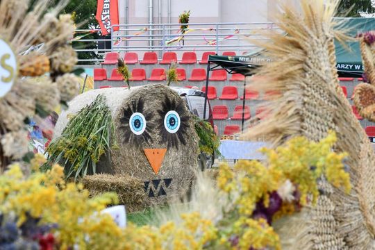 Dożynki powiatu zamojskiego w Szczebrzeszynie [ZDJĘCIA]