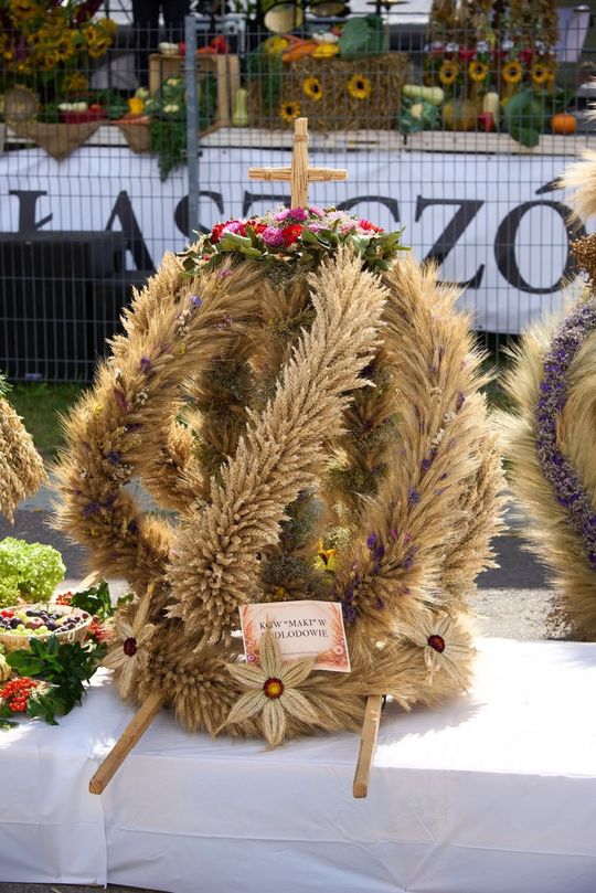 Dożynki w Łaszczowie. Który wieniec najpiękniejszy? [ZDJĘCIA]