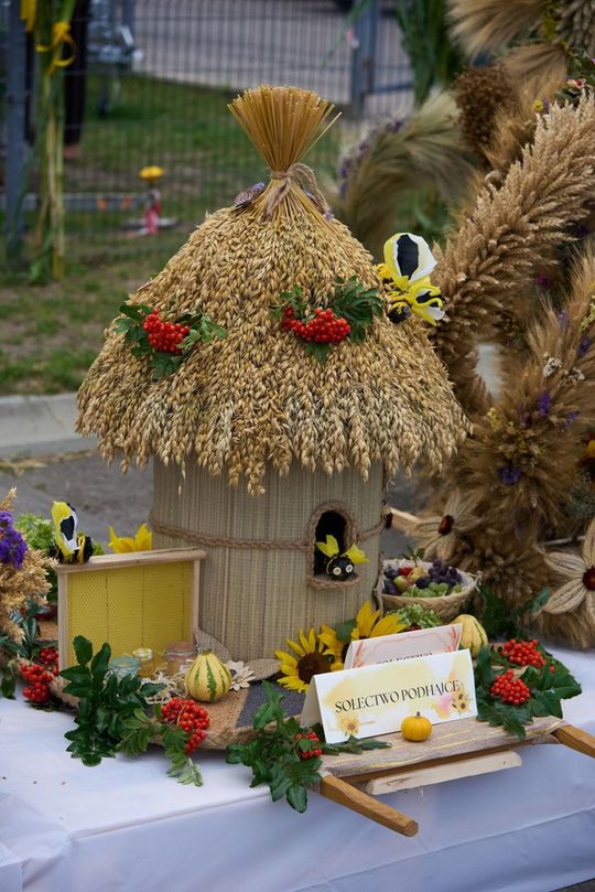 Dożynki w Łaszczowie. Który wieniec najpiękniejszy? [ZDJĘCIA]