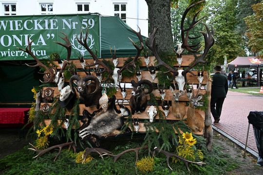 Roztoczańskie Spotkania z Tradycją i Kulturą Łowiecką w Zwierzyńcu [ZDJĘCIA]