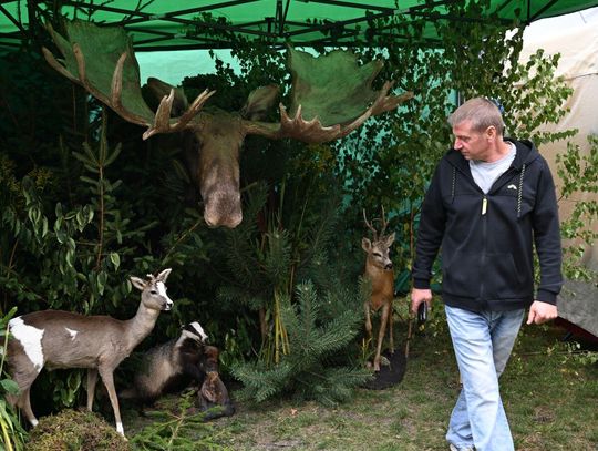 Roztoczańskie Spotkania z Tradycją i Kulturą Łowiecką w Zwierzyńcu [ZDJĘCIA]