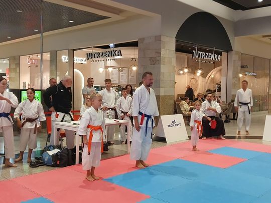 Zamość: Turniej karate tradycyjnego 4 YOSAI CUP [GALERIA ZDJĘĆ]