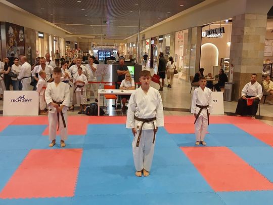 Zamość: Turniej karate tradycyjnego 4 YOSAI CUP [GALERIA ZDJĘĆ]
