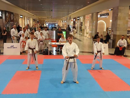 Zamość: Turniej karate tradycyjnego 4 YOSAI CUP [GALERIA ZDJĘĆ]