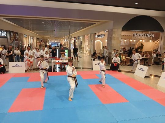 Zamość: Turniej karate tradycyjnego 4 YOSAI CUP [GALERIA ZDJĘĆ]