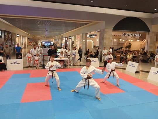 Zamość: Turniej karate tradycyjnego 4 YOSAI CUP [GALERIA ZDJĘĆ]