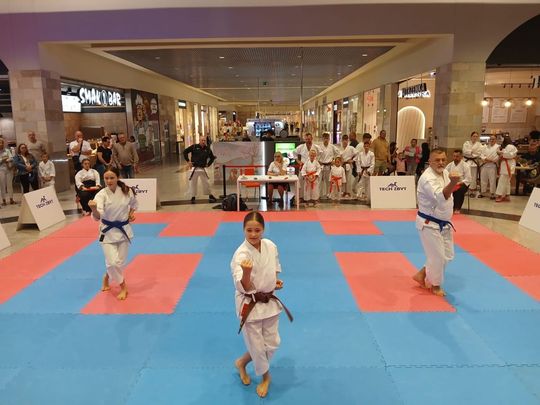 Zamość: Turniej karate tradycyjnego 4 YOSAI CUP [GALERIA ZDJĘĆ]