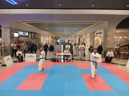 Zamość: Turniej karate tradycyjnego 4 YOSAI CUP [GALERIA ZDJĘĆ]