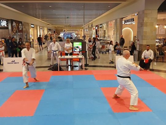Zamość: Turniej karate tradycyjnego 4 YOSAI CUP [GALERIA ZDJĘĆ]