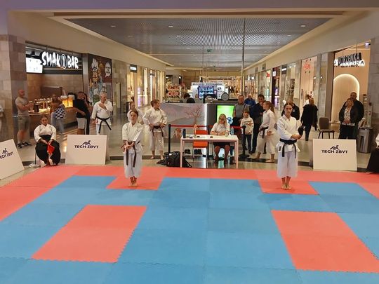 Zamość: Turniej karate tradycyjnego 4 YOSAI CUP [GALERIA ZDJĘĆ]