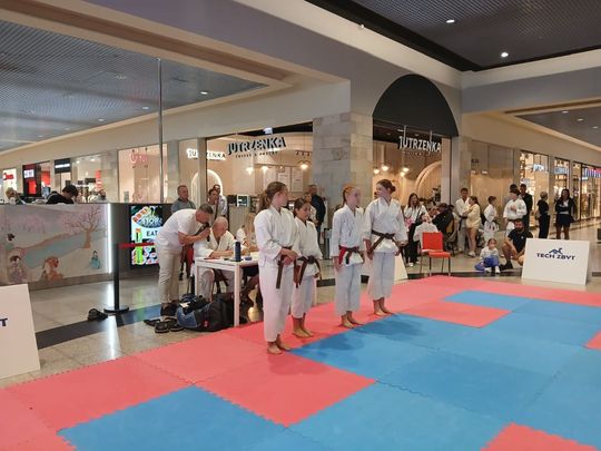 Zamość: Turniej karate tradycyjnego 4 YOSAI CUP [GALERIA ZDJĘĆ]