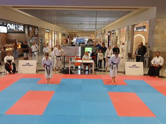 Zamość: Turniej karate tradycyjnego 4 YOSAI CUP [GALERIA ZDJĘĆ]