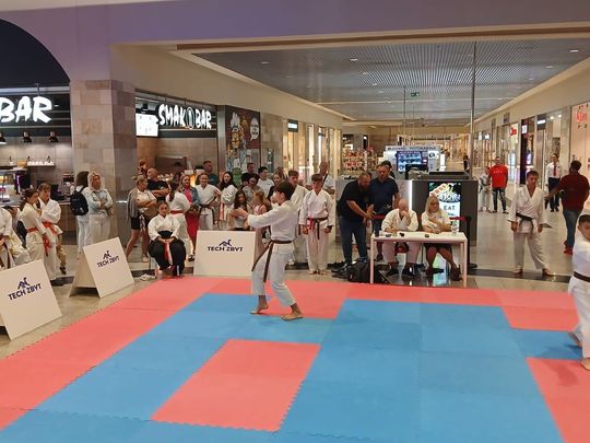 Zamość: Turniej karate tradycyjnego 4 YOSAI CUP [GALERIA ZDJĘĆ]