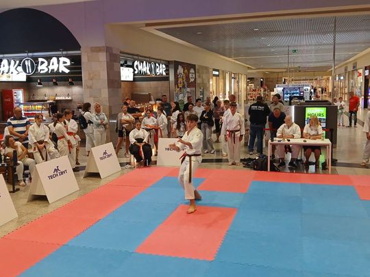 Zamość: Turniej karate tradycyjnego 4 YOSAI CUP [GALERIA ZDJĘĆ]